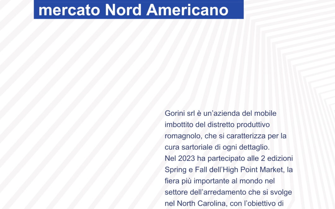 Progetto di espansione sul mercato Nord America