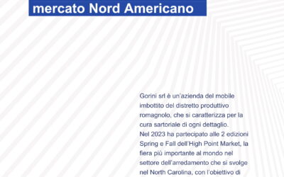 Progetto di espansione sul mercato Nord America